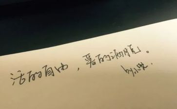幼儿园自由活动方案7篇