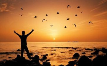 自由活动方案6篇