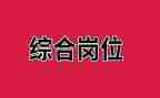 保险综合岗的述职报告5篇
