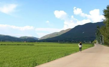 我毕竟走过优秀作文7篇