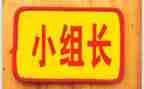 村组长个人述职报告优质8篇