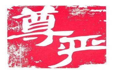 尊严的读后感5篇