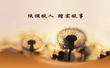 做人才工作计划8篇