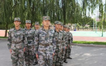 组训者心得体会6篇