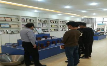组织部组织室工作计划模板5篇