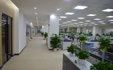 组织部组织室工作计划8篇